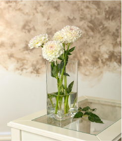 Dekoratif Vazo Koleksiyonları